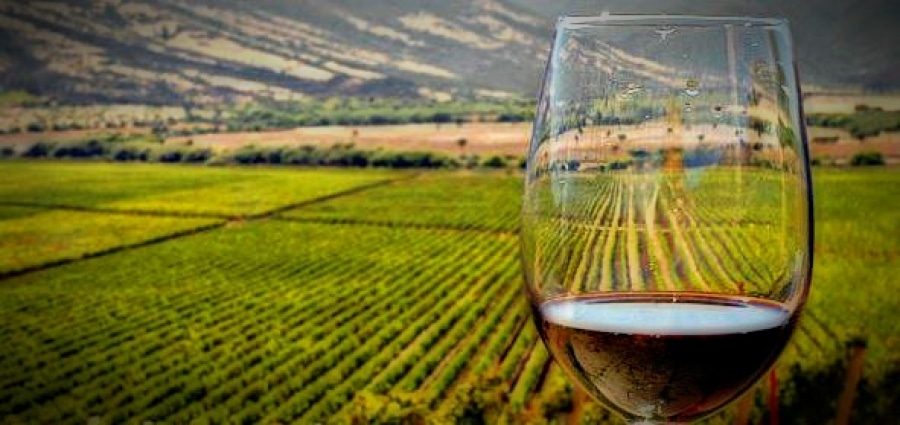 software ISO bodegas y viñedos