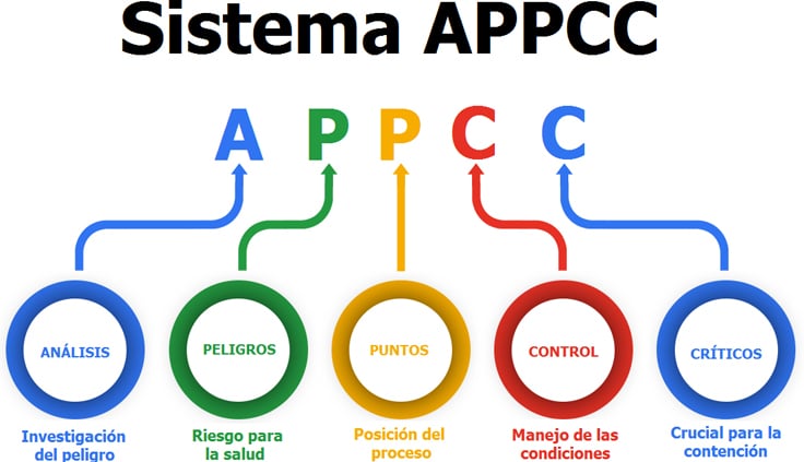 Cuáles son los 7 principios básicos del sistema APPCC