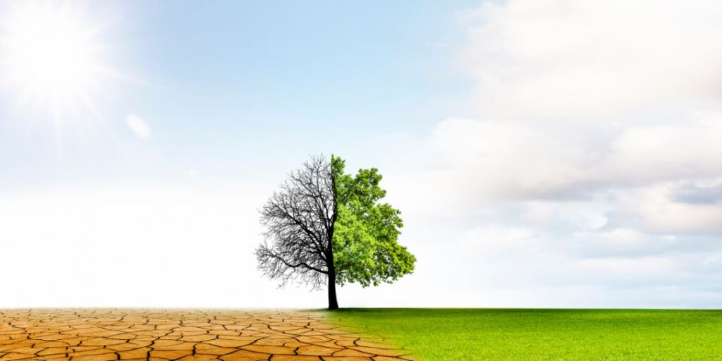 Cambio climático en ISO 9001 cambio climático en ISO 9001